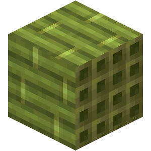 Bamboo